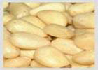 Pine-nut kernel